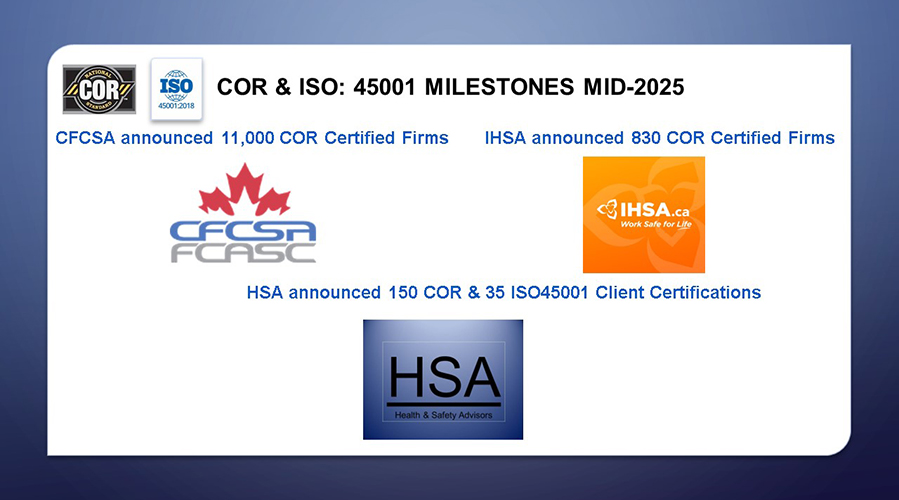 IHSA-J-HSA-J-CFS-Milestones-MID-2025
